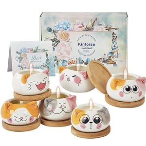 Set di 6 gattini- candele profumate